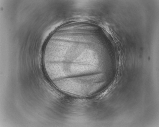 X0000088740342200706141708