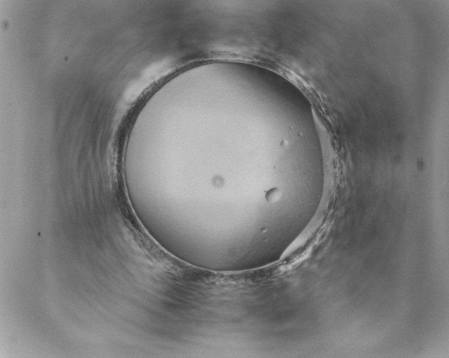 X0000088740343200706141709