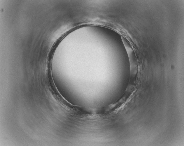 X0000088740344200706141709