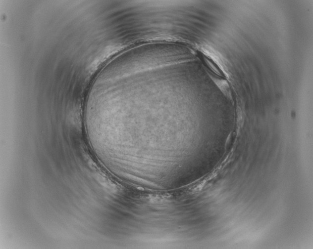 X0000088740345200706141709