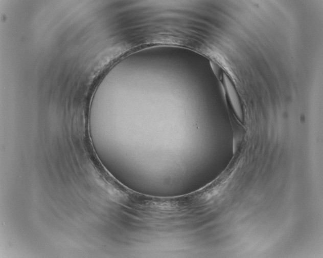 X0000088740349200706141709