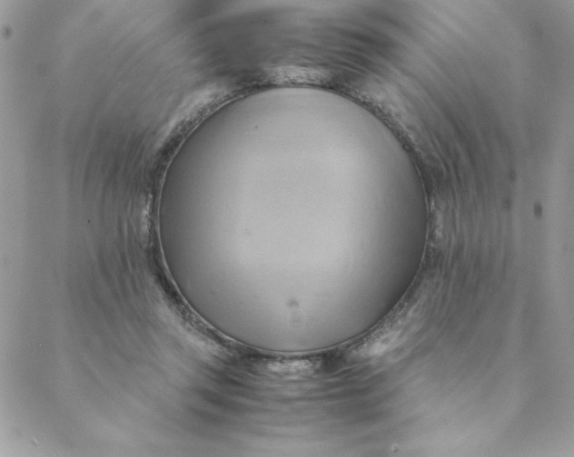 X0000088740357200706141709