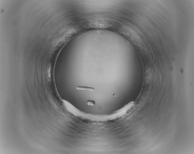 X0000088740358200706141709