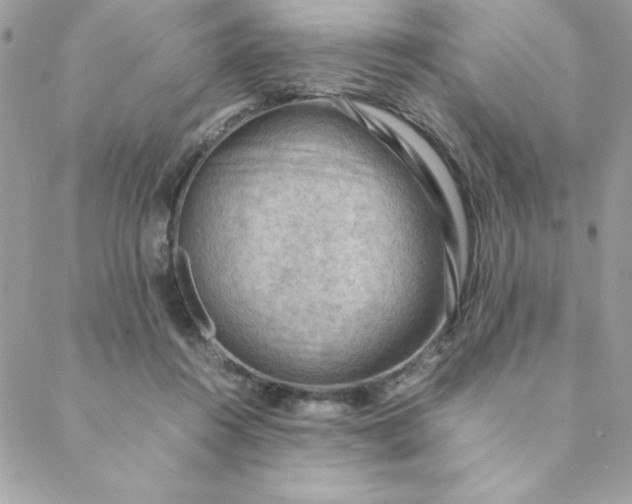 X0000088740360200706141709