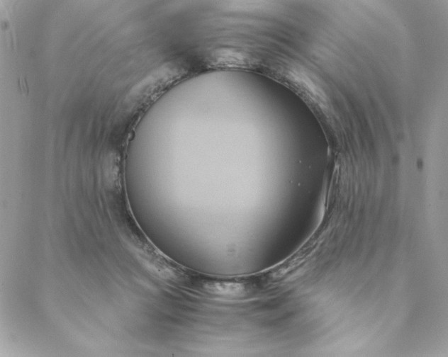 X0000088740361200706141709