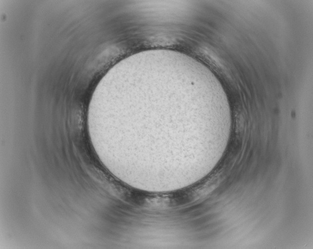 X0000088740362200706141709