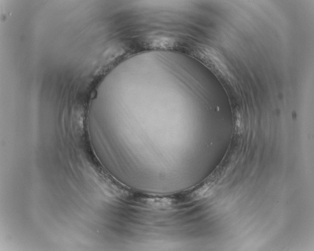 X0000088740363200706141709