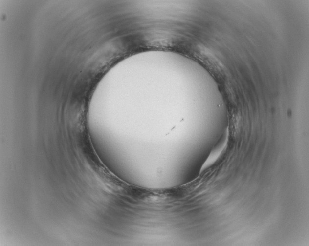 X0000088740364200706141709