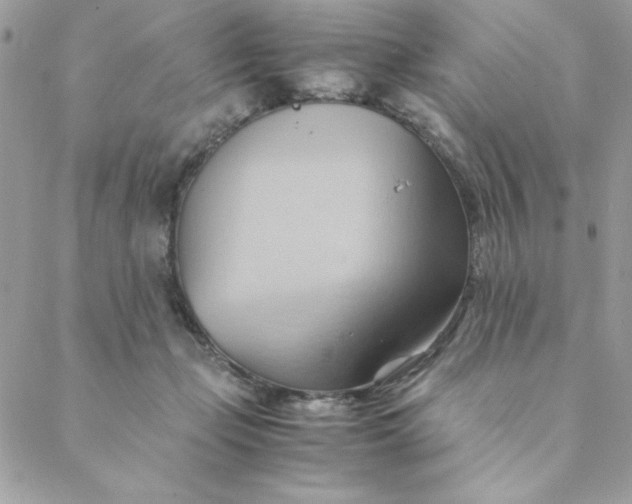 X0000088740365200706141709