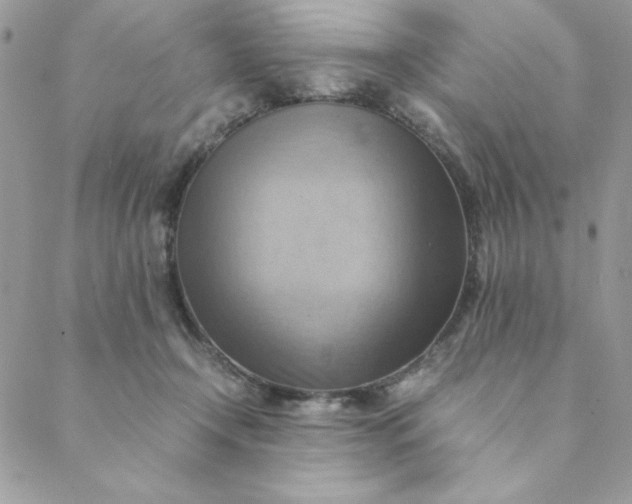 X0000088740366200706141709