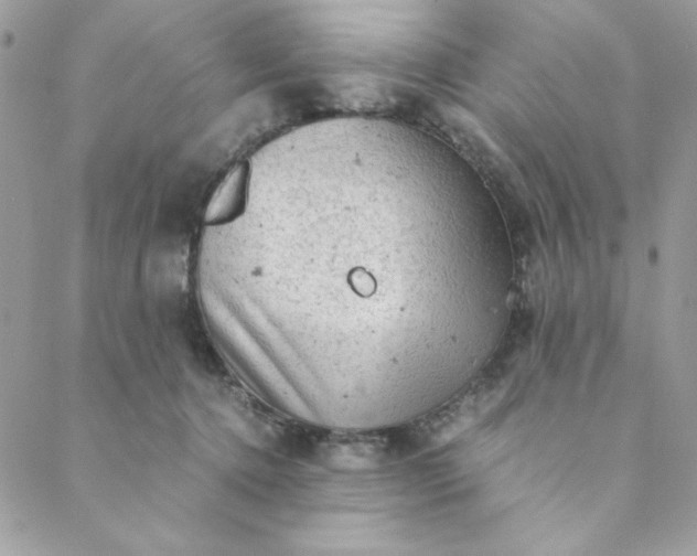 X0000088740368200706141709