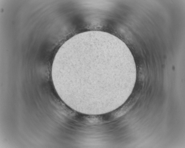 X0000088740370200706141709