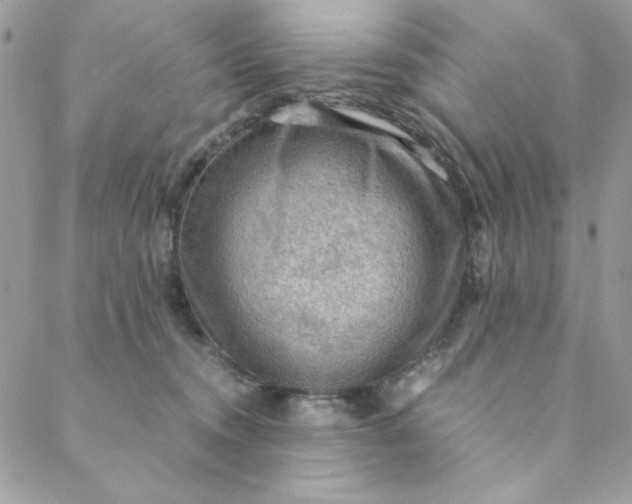 X0000088740372200706141709