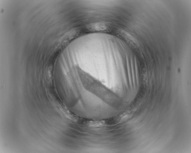 X0000088740373200706141709