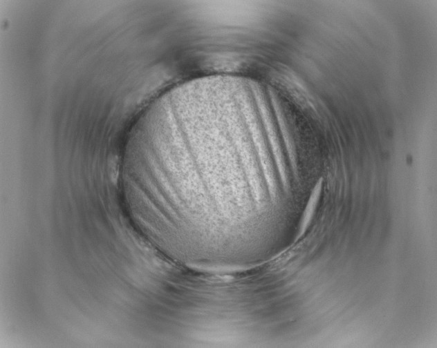 X0000088740374200706141709