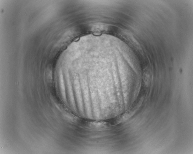 X0000088740375200706141709