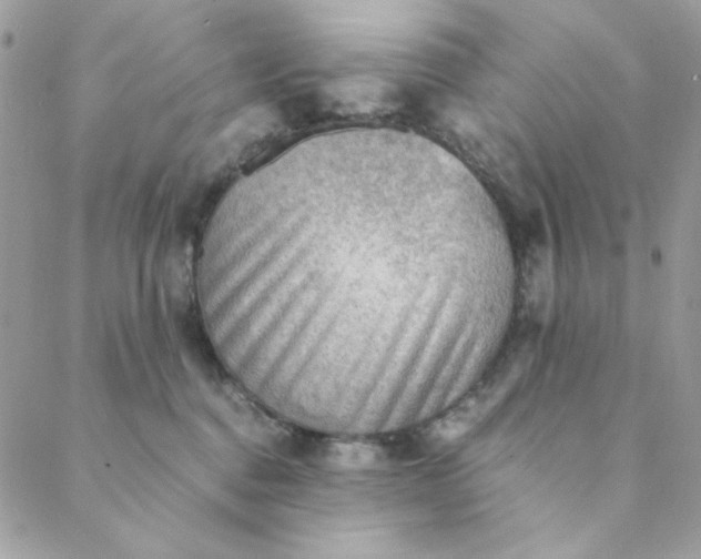 X0000088740376200706141709