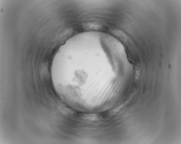 X0000088740377200706141709