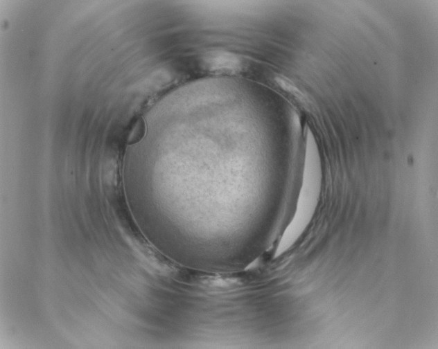 X0000088740379200706141709