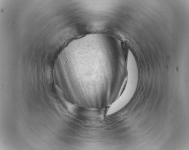 X0000088740380200706141709