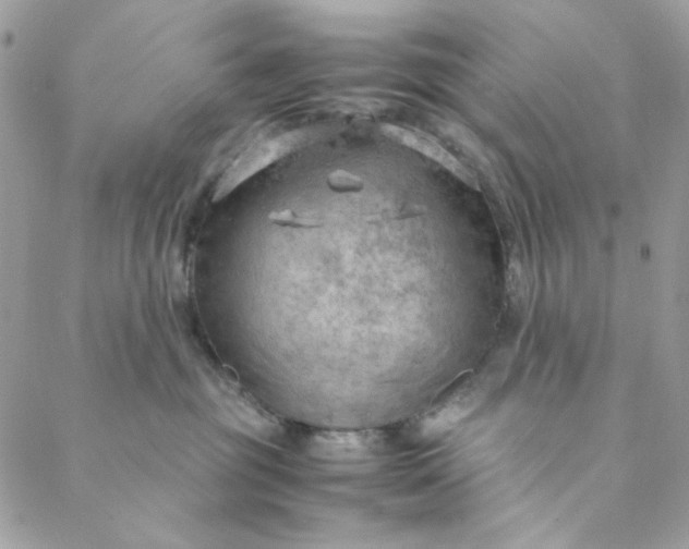 X0000088740381200706141709