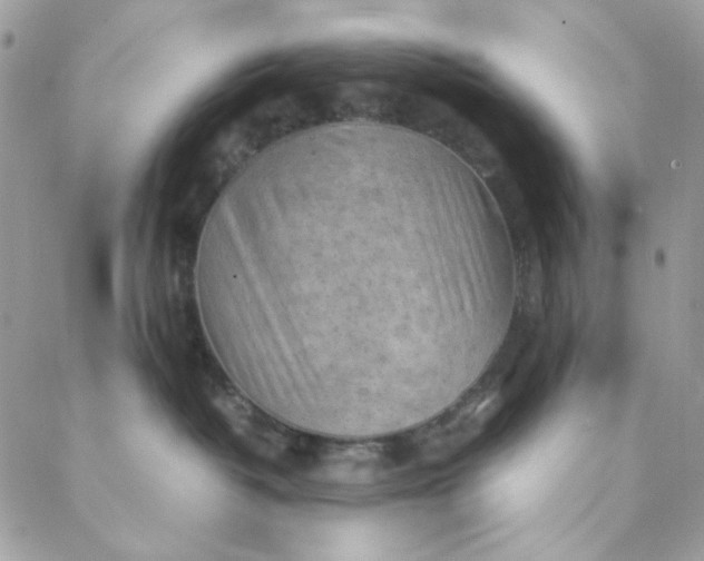 X0000088740382200706141709