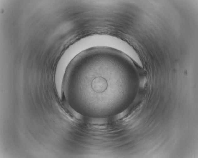 X0000088740383200706141709