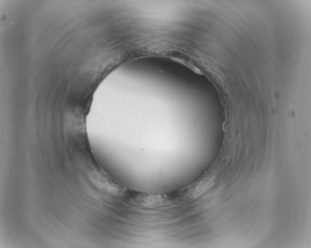 X0000088740384200706141709