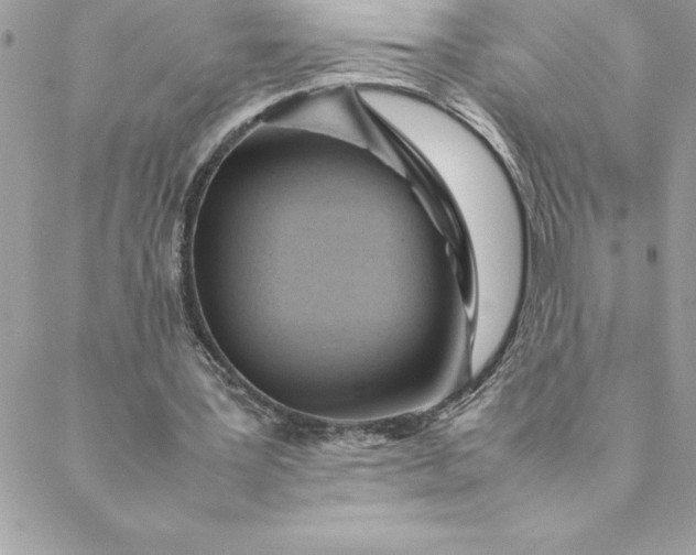 X0000088740387200706141708