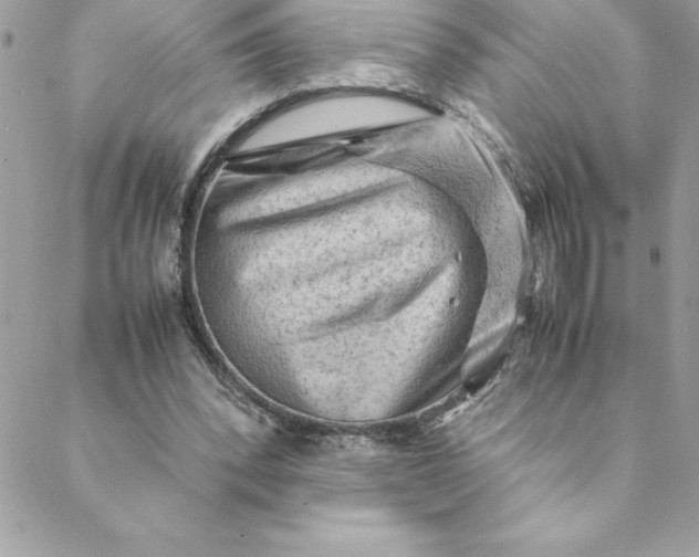 X0000088740392200706141708