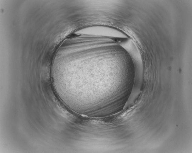 X0000088740393200706141708