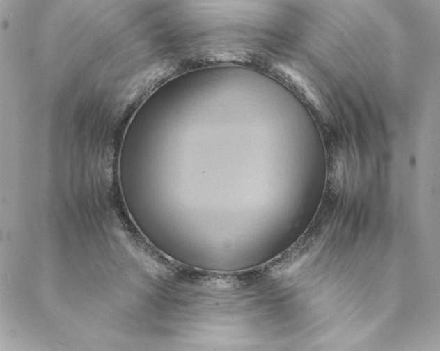 X0000088740402200706141708