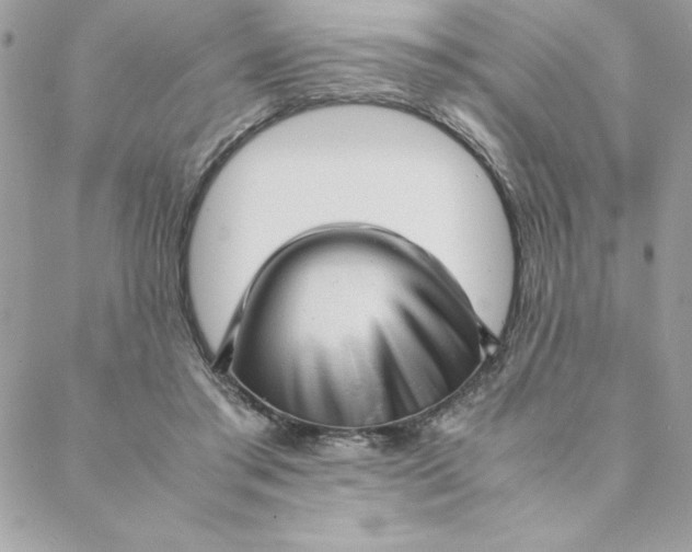 X0000088740405200706141708