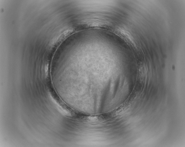 X0000088740406200706141708