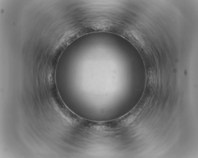 X0000088740408200706141708
