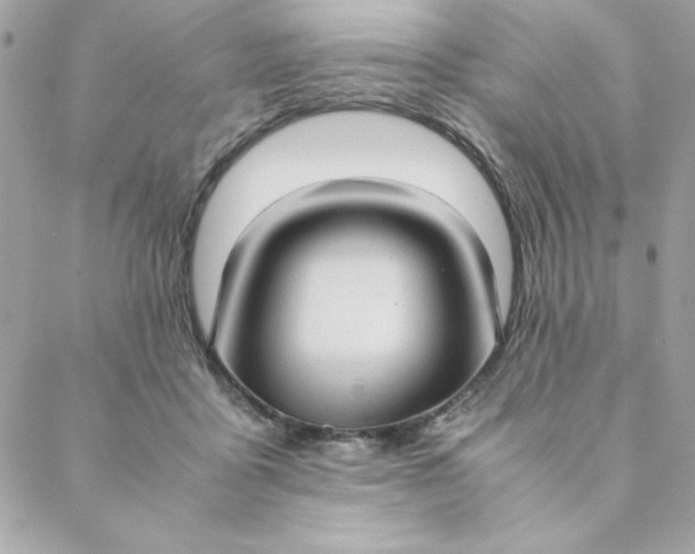 X0000088740411200706141708