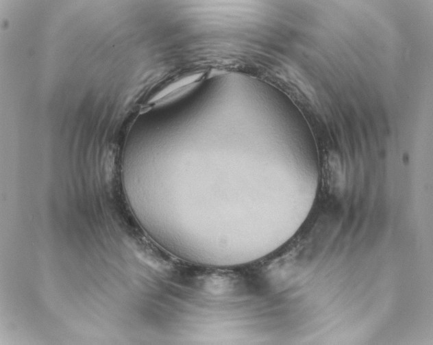 X0000088740412200706141708