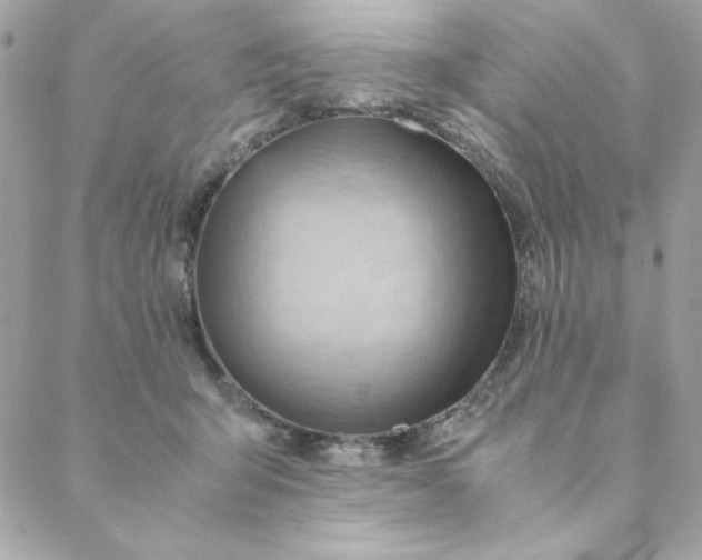X0000088740415200706141708