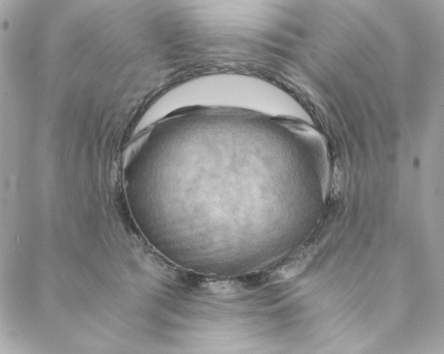 X0000088740417200706141708