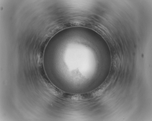 X0000088740420200706141708