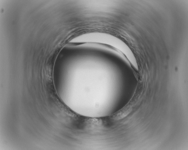 X0000088740421200706141708
