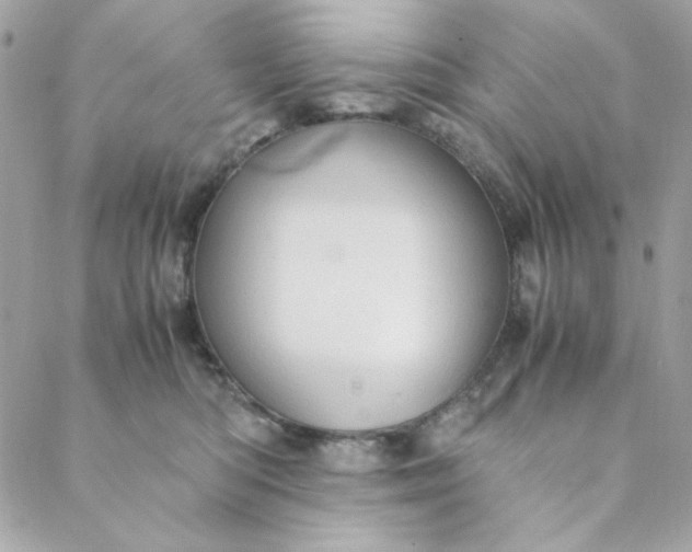 X0000088740422200706141708