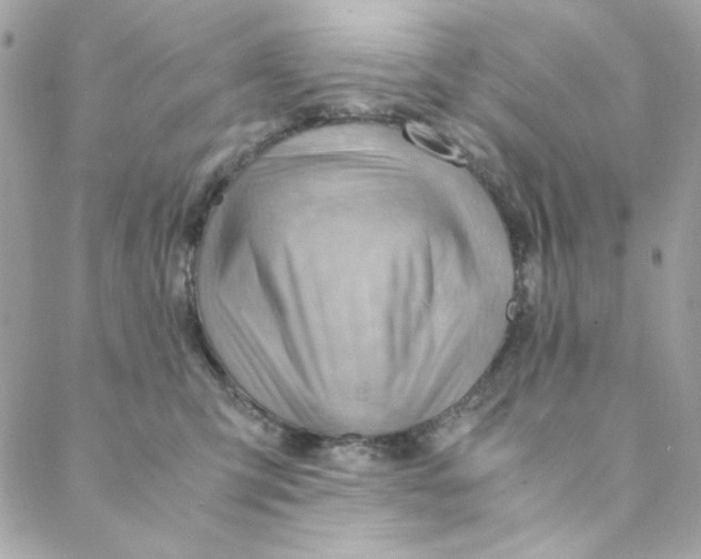 X0000088740423200706141708