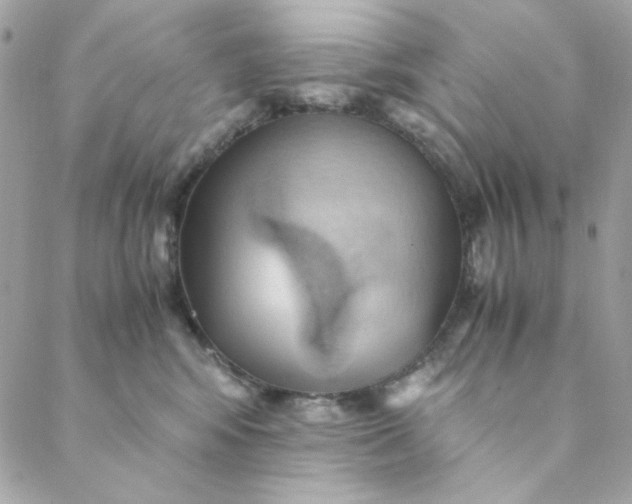 X0000088740424200706141708