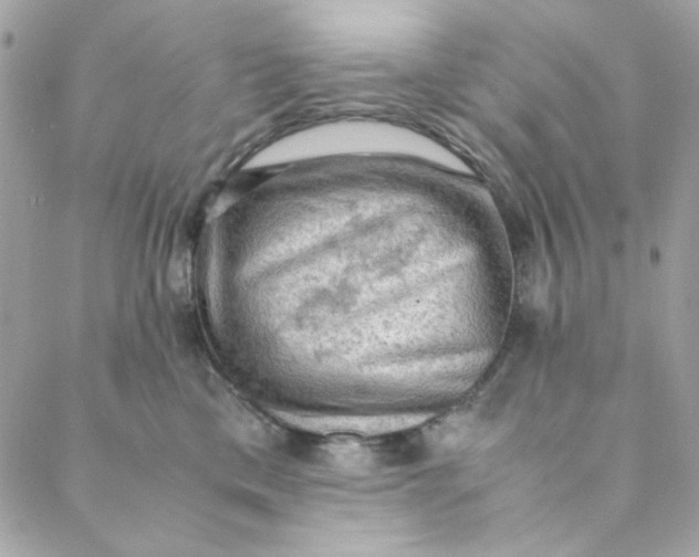 X0000088740425200706141708