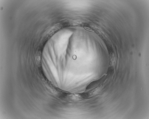 X0000088740427200706141708