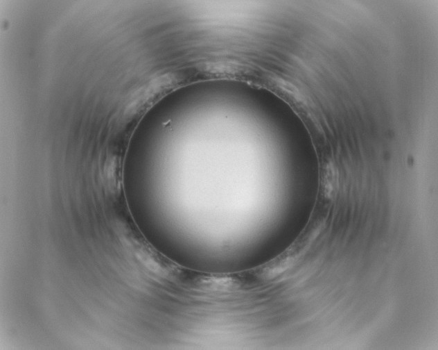 X0000088740428200706141708