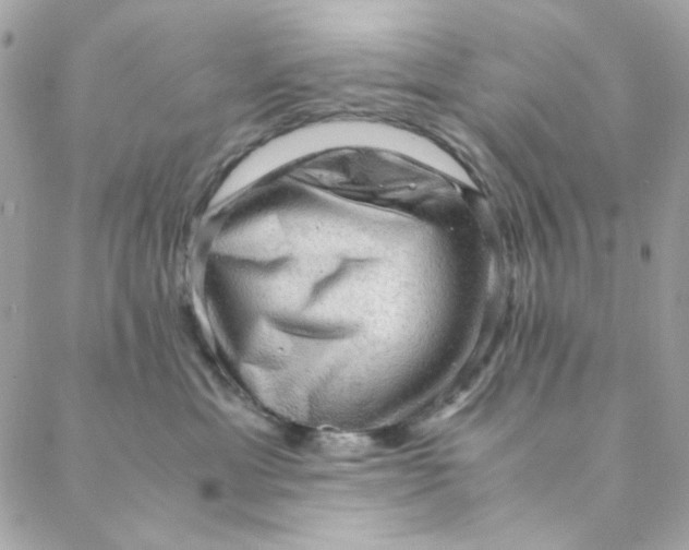 X0000088740429200706141708