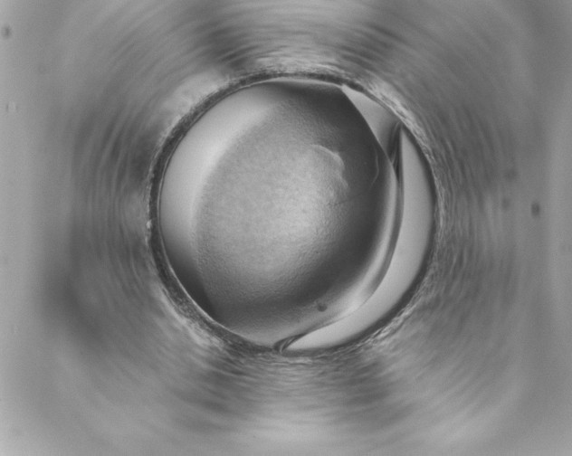 X0000088740438200706141707