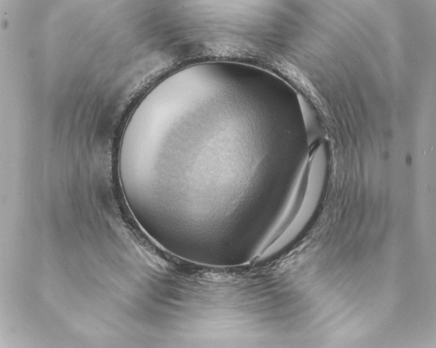 X0000088740442200706141707